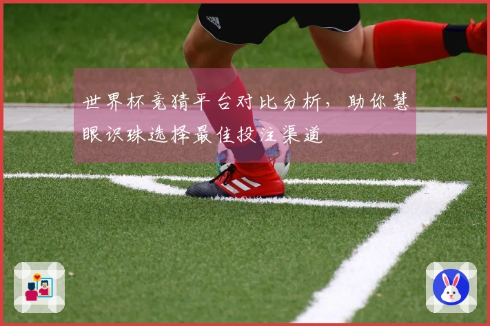 世界杯竞猜平台对比分析，助你慧眼识珠选择最佳投注渠道