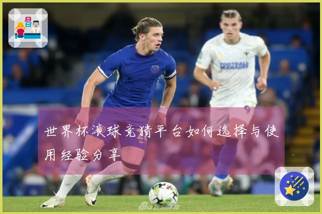 世界杯滚球竞猜平台如何选择与使用经验分享