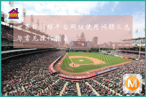 世界杯买球平台网址使用问题汇总与常见操作指南