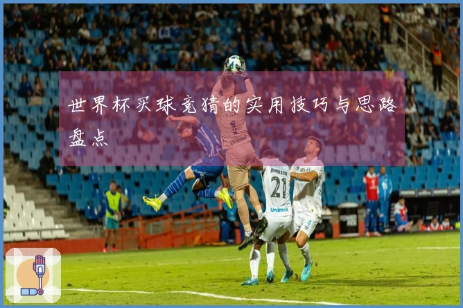 世界杯买球竞猜的实用技巧与思路盘点