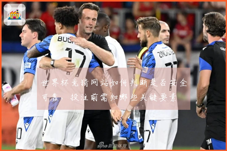 世界杯竞猜网站如何判断是否安全可靠,投注前需知哪些关键要素
