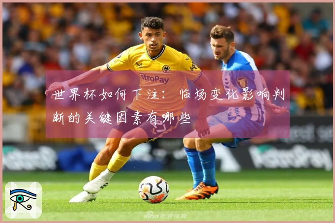 世界杯如何下注:临场变化影响判断的关键因素有哪些