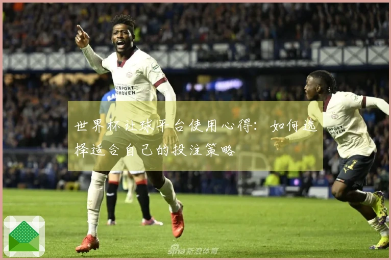 世界杯让球平台使用心得：如何选择适合自己的投注策略