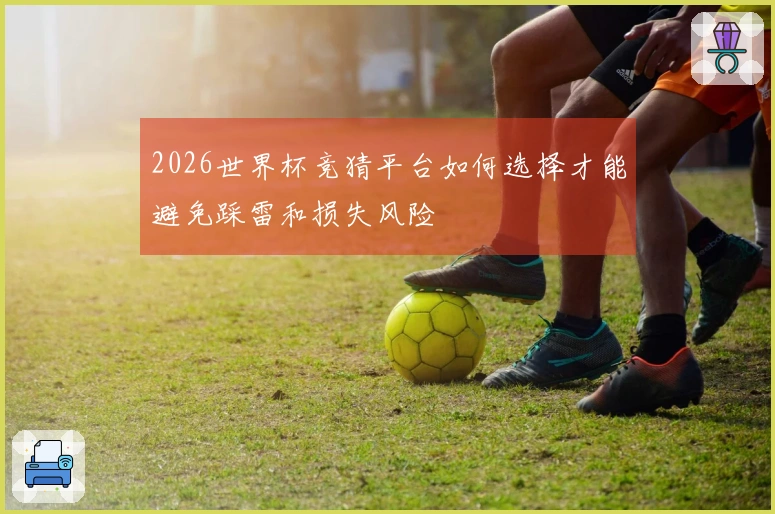 2026世界杯竞猜平台如何选择才能避免踩雷和损失风险