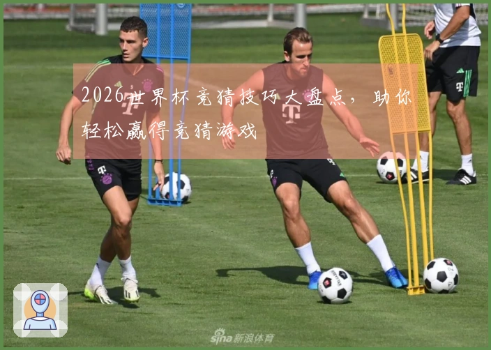2026世界杯竞猜技巧大盘点，助你轻松赢得竞猜游戏
