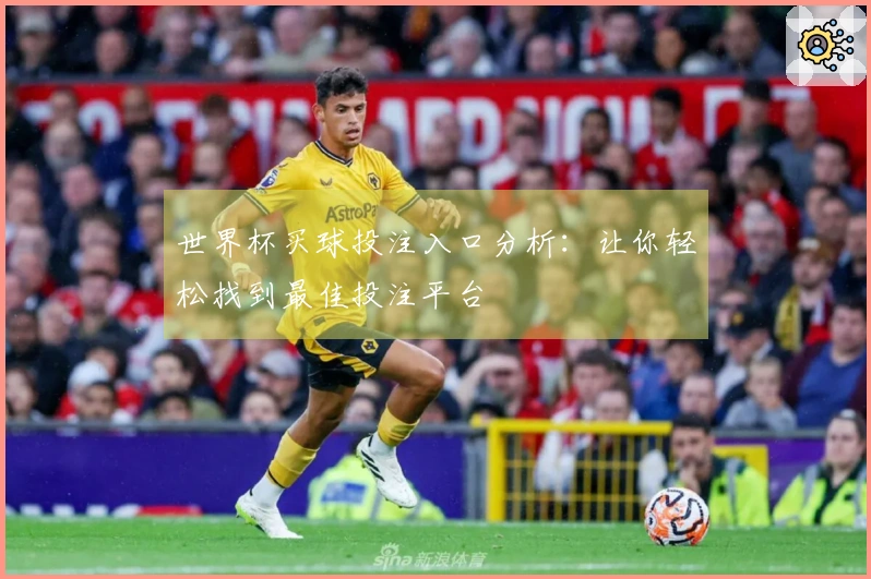 世界杯买球投注入口分析：让你轻松找到最佳投注平台