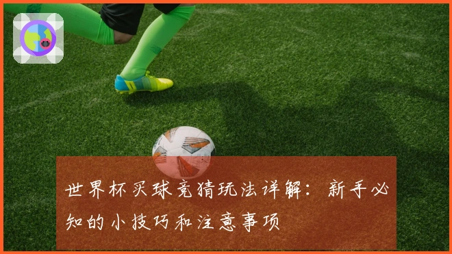 世界杯买球竞猜玩法详解：新手必知的小技巧和注意事项