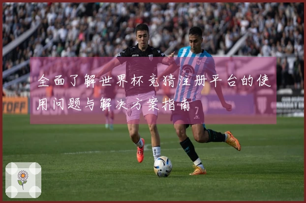全面了解世界杯竞猜注册平台的使用问题与解决方案指南