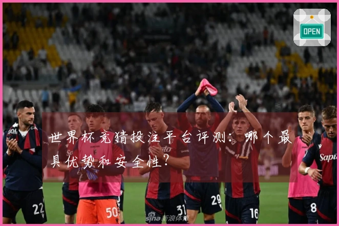 世界杯竞猜投注平台评测：哪个最具优势和安全性？