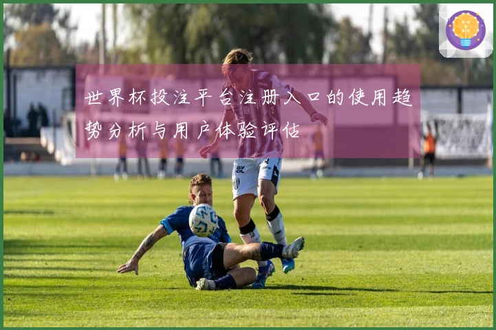 世界杯投注平台注册入口的使用趋势分析与用户体验评估