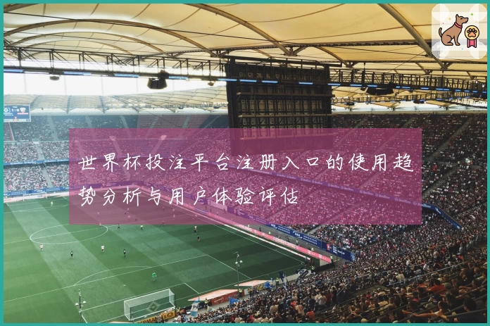 世界杯投注平台注册入口的使用趋势分析与用户体验评估