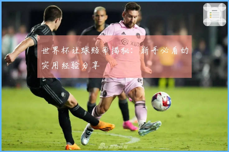 世界杯让球赔率揭秘：新手必看的实用经验分享