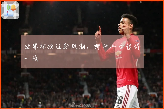 世界杯投注新风潮，哪些平台值得一试