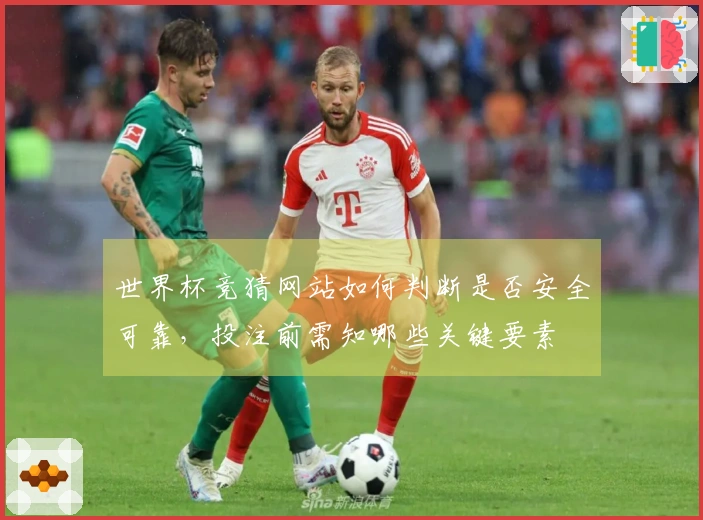 世界杯竞猜网站如何判断是否安全可靠，投注前需知哪些关键要素